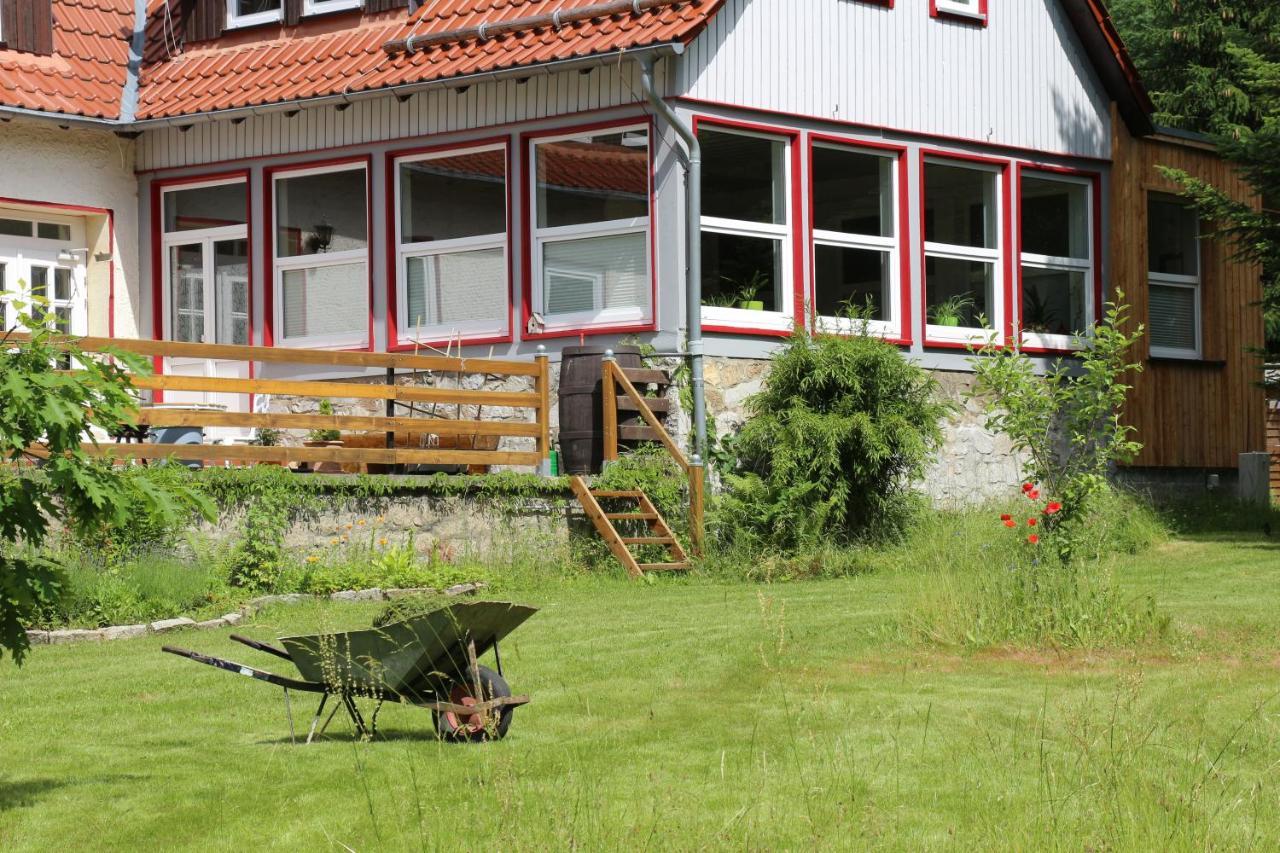 Villa Viriditas Elbingerode  Exteriör bild