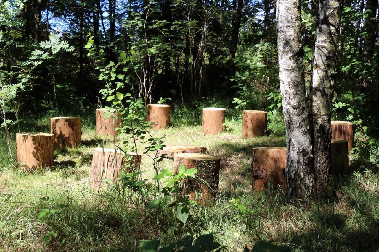 Villa Viriditas Elbingerode  Exteriör bild
